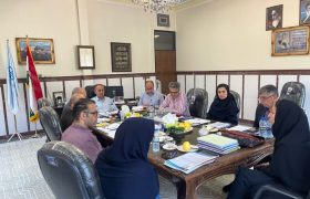 نشست تخصصی هیات اجرایی جذب اعضای هیات علمی دانشگاه علوم و فنون مازندران