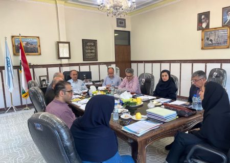 نشست تخصصی هیات اجرایی جذب اعضای هیات علمی دانشگاه علوم و فنون مازندران