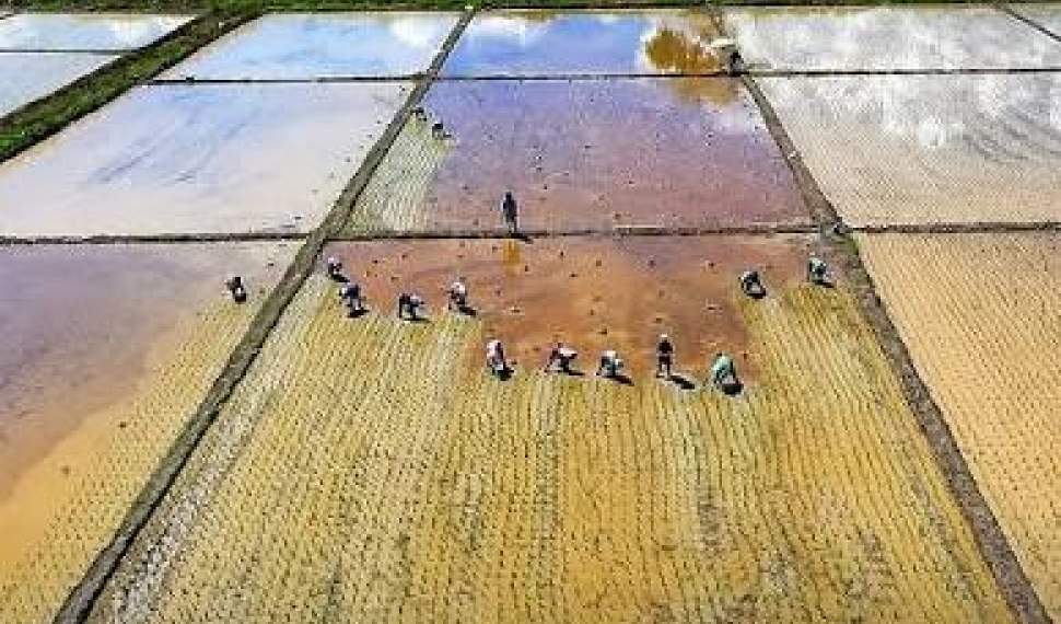 تولید بیشتر یا حفاظت از سفرههای آب زیرزمینی؟