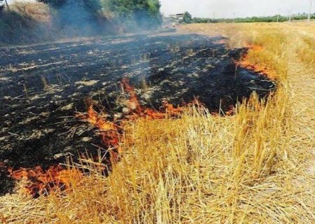 دود کاه و کلش؛ عامل پنهان تصادفات جاده‌ای زیر ذره‌بین