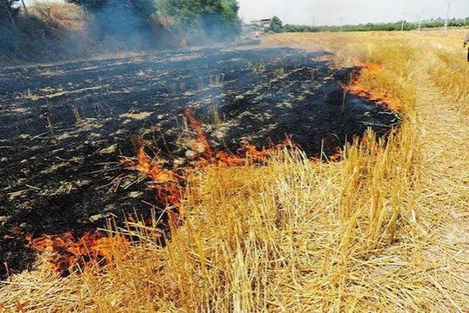 دود کاه و کلش؛ عامل پنهان تصادفات جاده‌ای زیر ذره‌بین