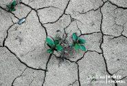 سرزمین باران تشنه آب!