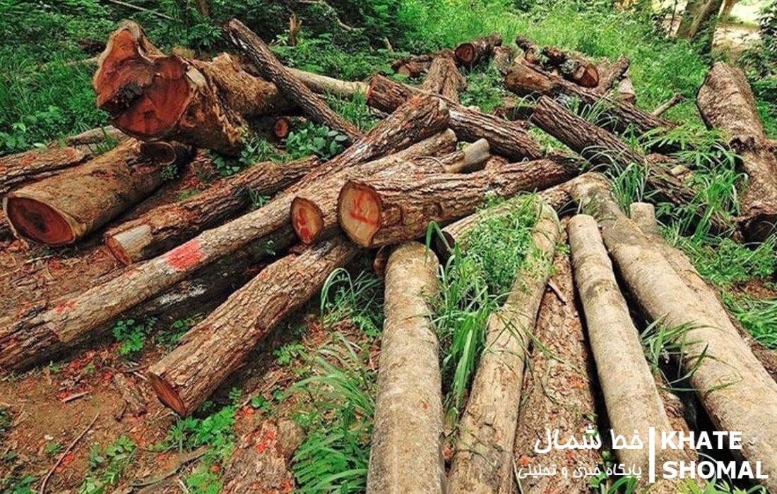 دستگیری قاچاقچی سابقهدار چوب در جنگل بلیران